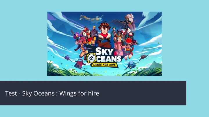 Test – Sky Oceans : Wings for hire