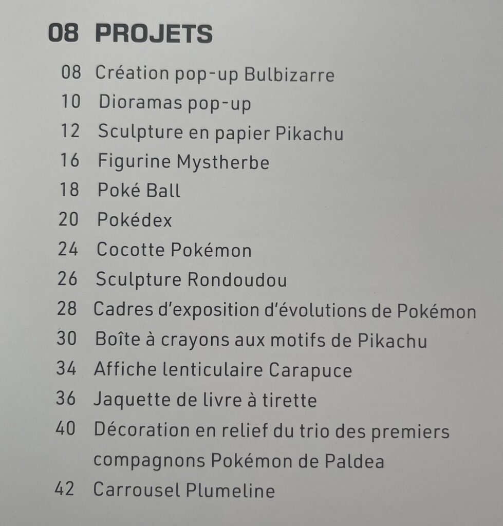 Listes des bricolages Pokémon disponible dans Pokémon d’incroyable création à réaliser 