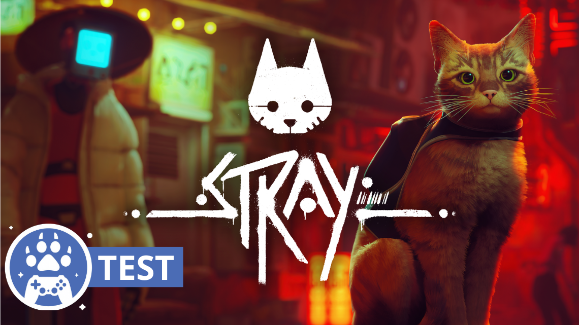 Test – Stray, rentre les griffes sur Nintendo Switch