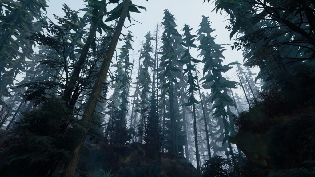 Test – Two Falls (Nishu Takuatshina)
Sombre forêt