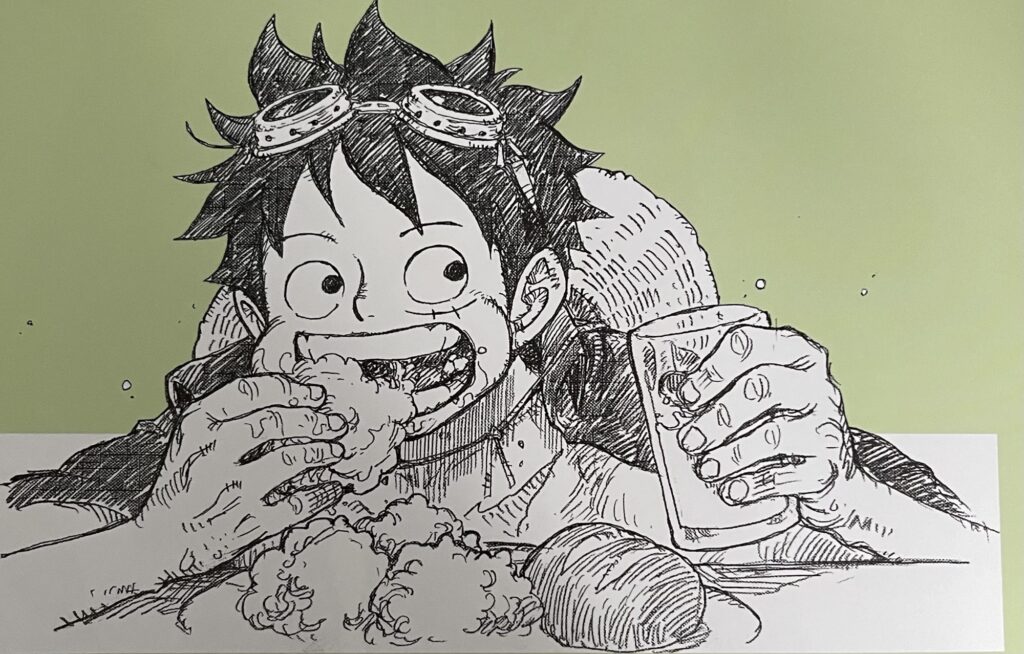 Avis manga one piece color walk 10 croquis noir et blanc