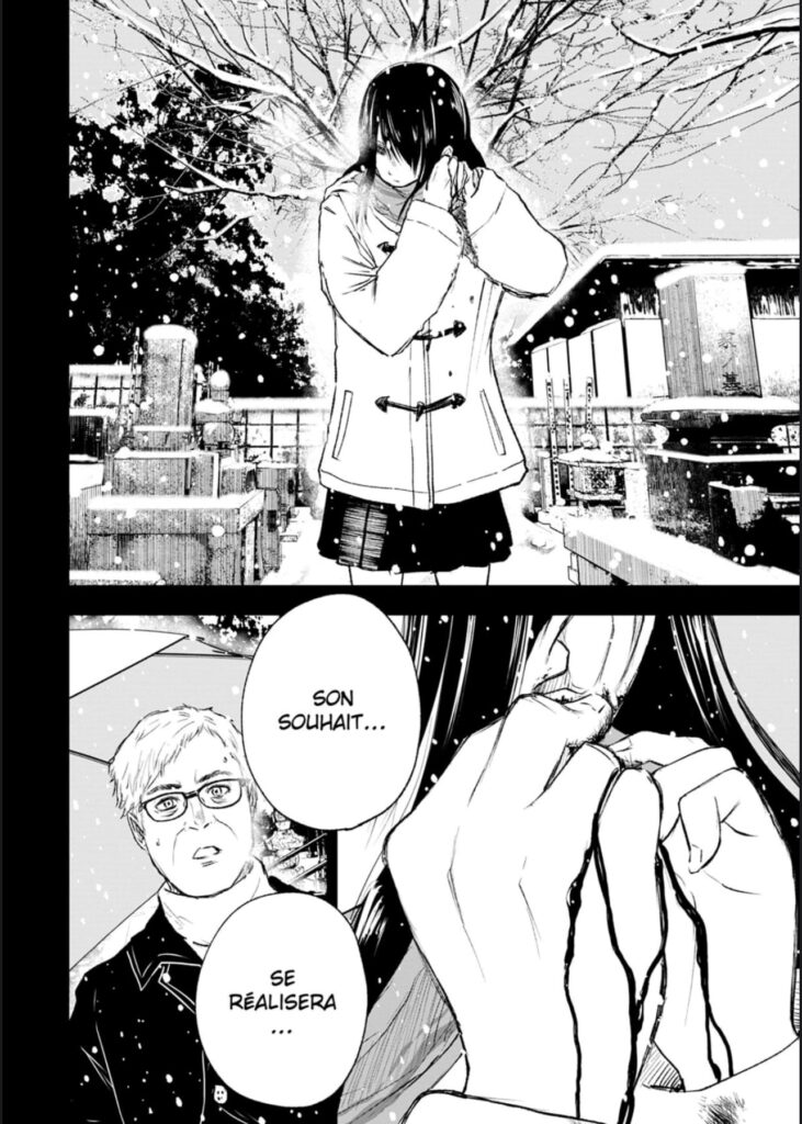 Wild Strawberry tome 2 la promesse d’ayari