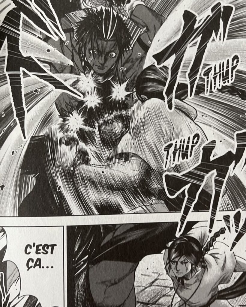 Avis manga raja combat  