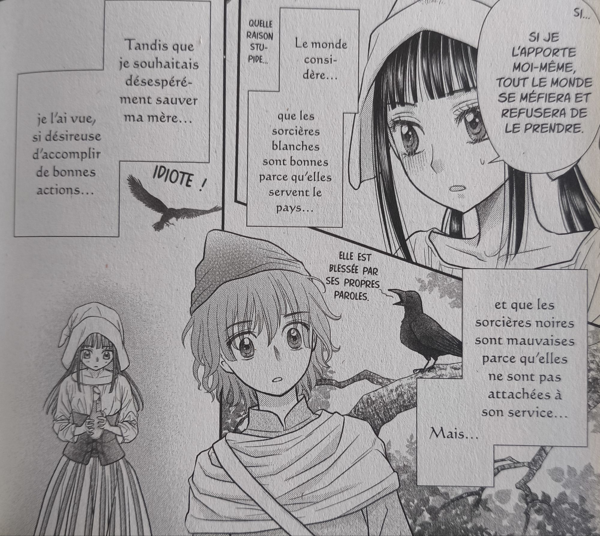 La sorcière aux champignons - une lecture sur plusieurs niveaux