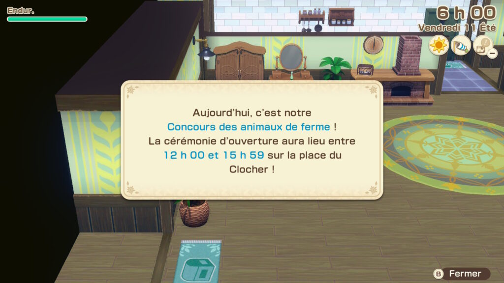 test story of seasons grand bazaar le concours