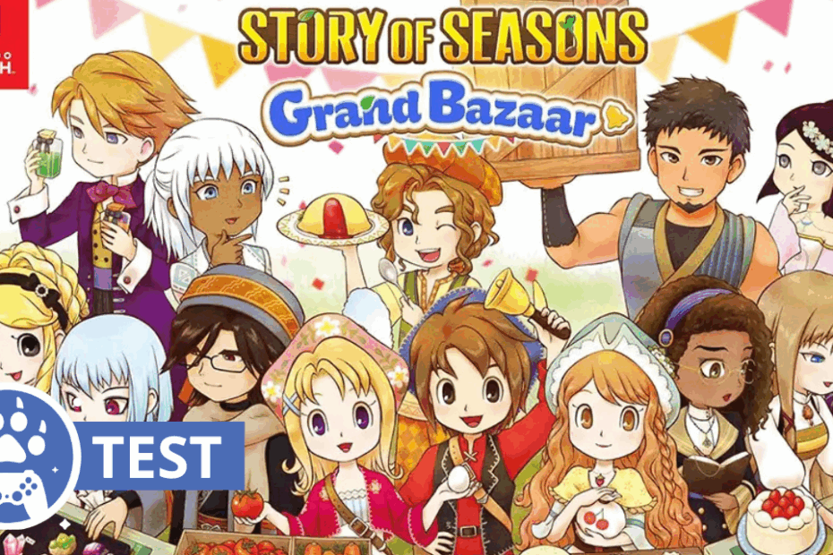 test story of season grand bazaar