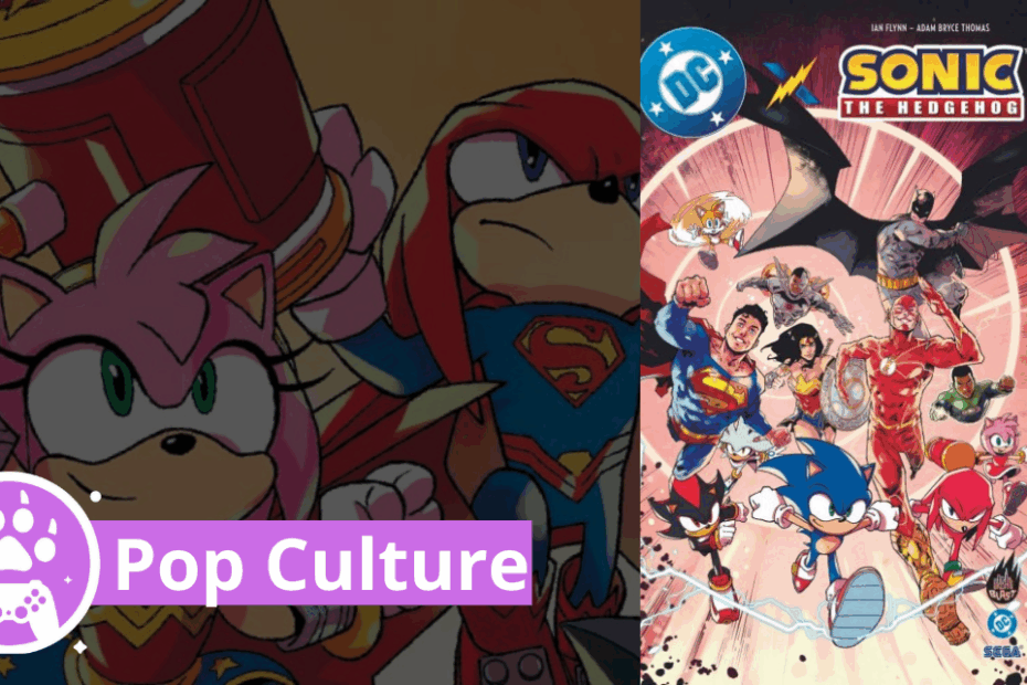 Avis comics DC x Sonic the Hedgehog