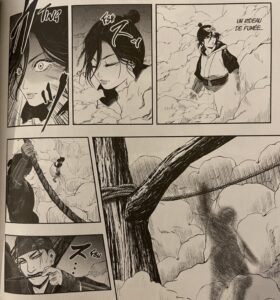 avis Assassin's crédit shadow les légendes d'Iga combat