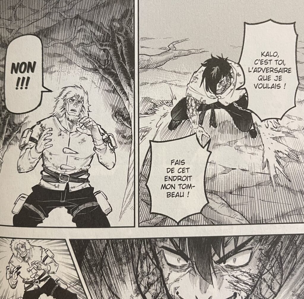 avis manga Beast King and medicinal herb 4 combat