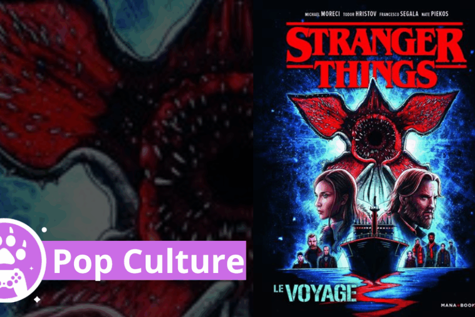 avis stranger things le voyage