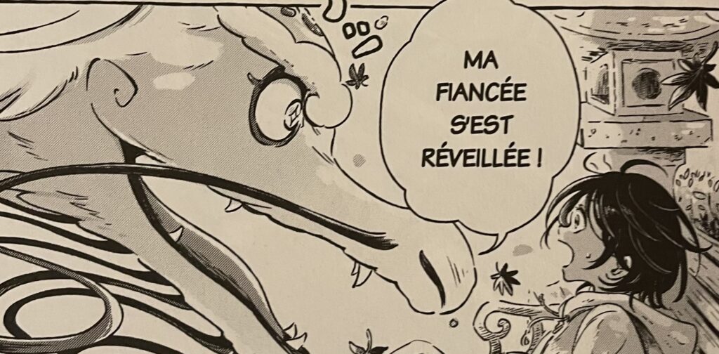 avis le garçon et le dragon fiancée