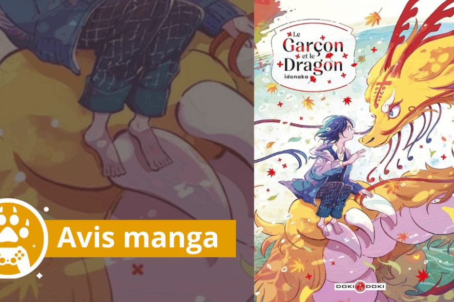 avis le garçon et le dragon