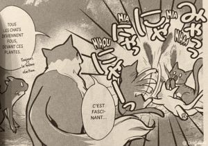 avis manga cats and dragon tome 1 et 2 chat joueur