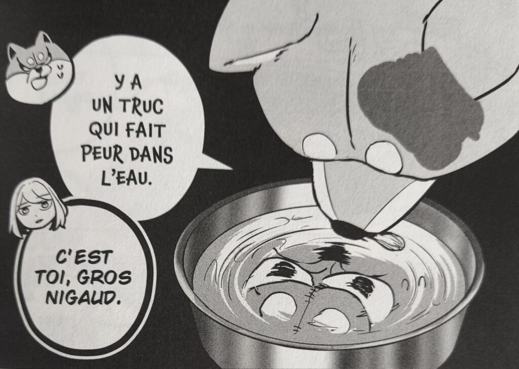le reflet