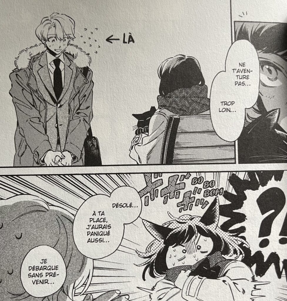 Avis manga nos coeurs de chats demande