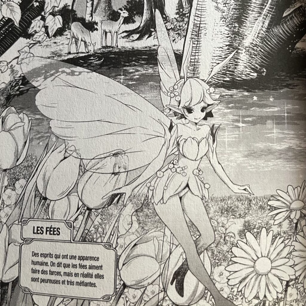 avis manga dungeon elf t2 fée de zelda