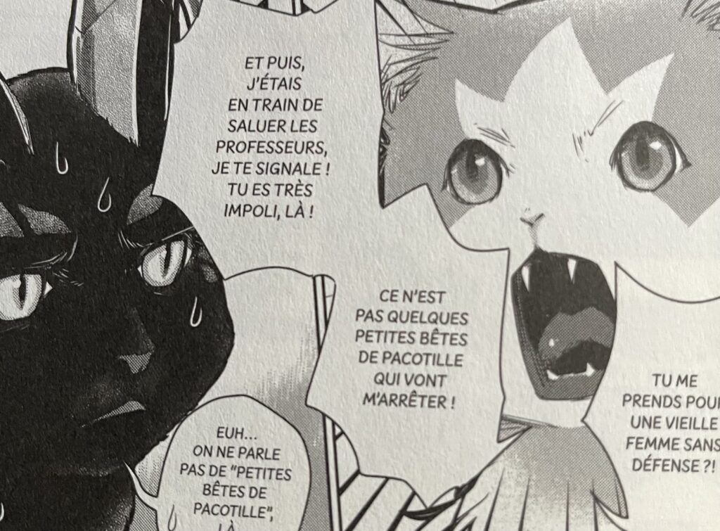 avis manga cats and dragon tome 4 démon chat
