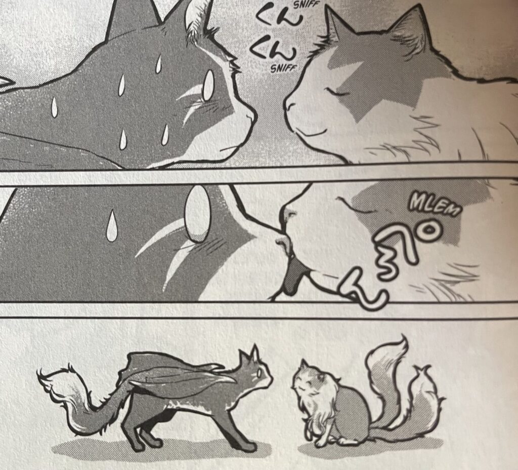 avis manga cats and dragon tome 4 retrouvailles