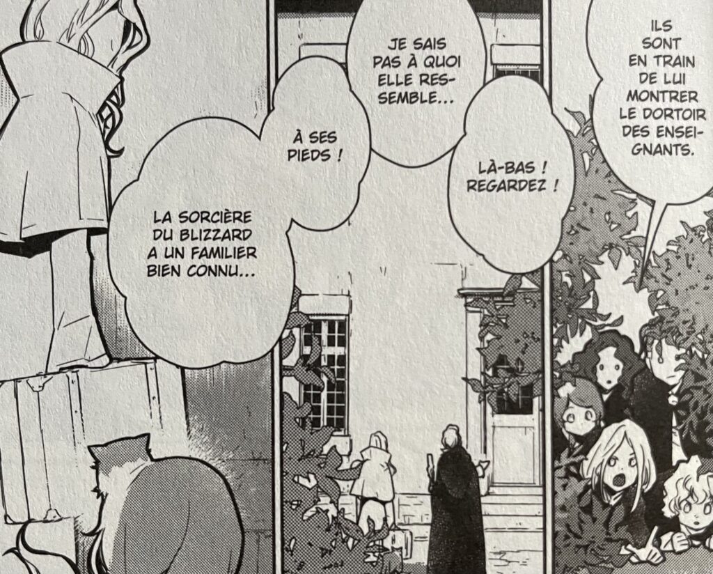avis manga cats and dragon tome 4 sorcière de glace