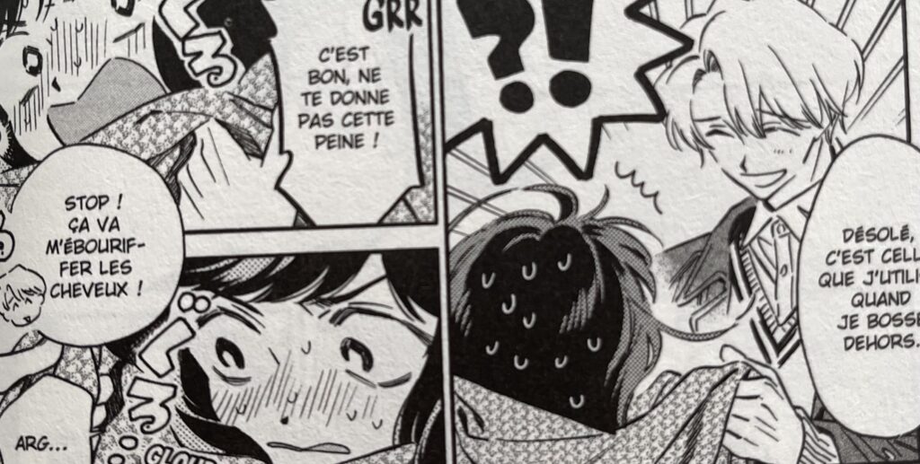 avis manga nos coeurs de chats tome 2 romance