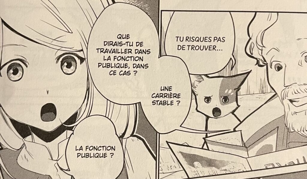 avis manga cats and dragon tome 5 la sorcière orpheline