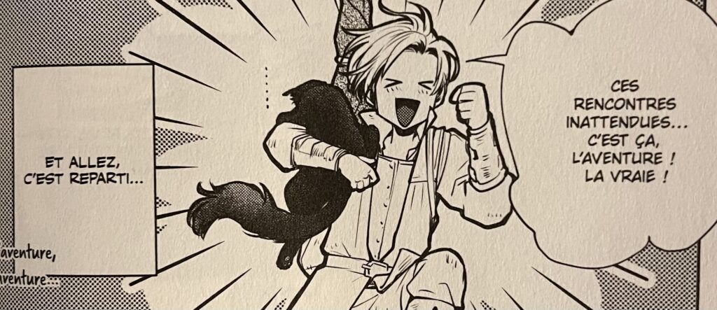 avis manga cats and dragon tome 5 le prince