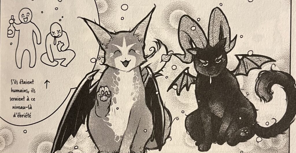 avis manga cats and dragon tome 5 les deux accro à l'herbe à chat