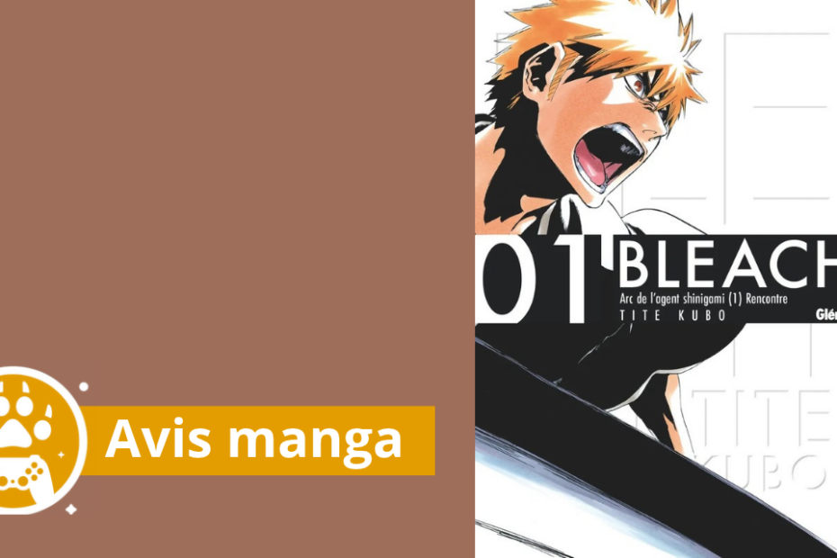 avis manga bleach deluxe