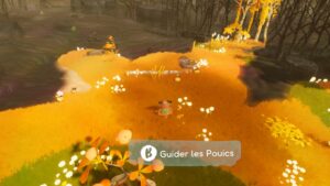 les pouics