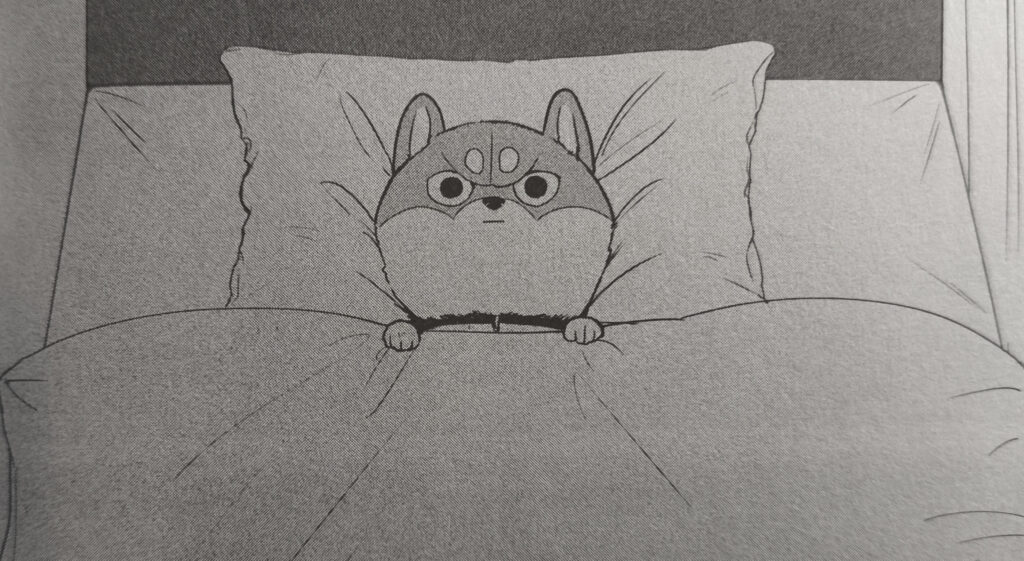 La nuit blanche