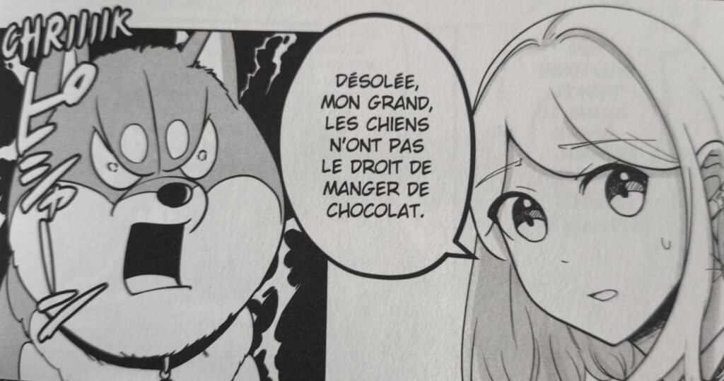 Pas de chocolat 